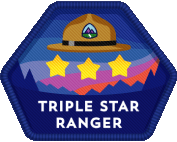 Salesforce Trailhead Triple Star Ranger